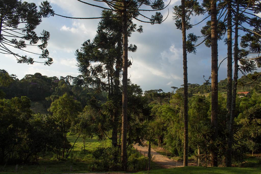 Pousada E Restaurante Recanto Do Pico Santo Antônio do Pinhal Eksteriør billede